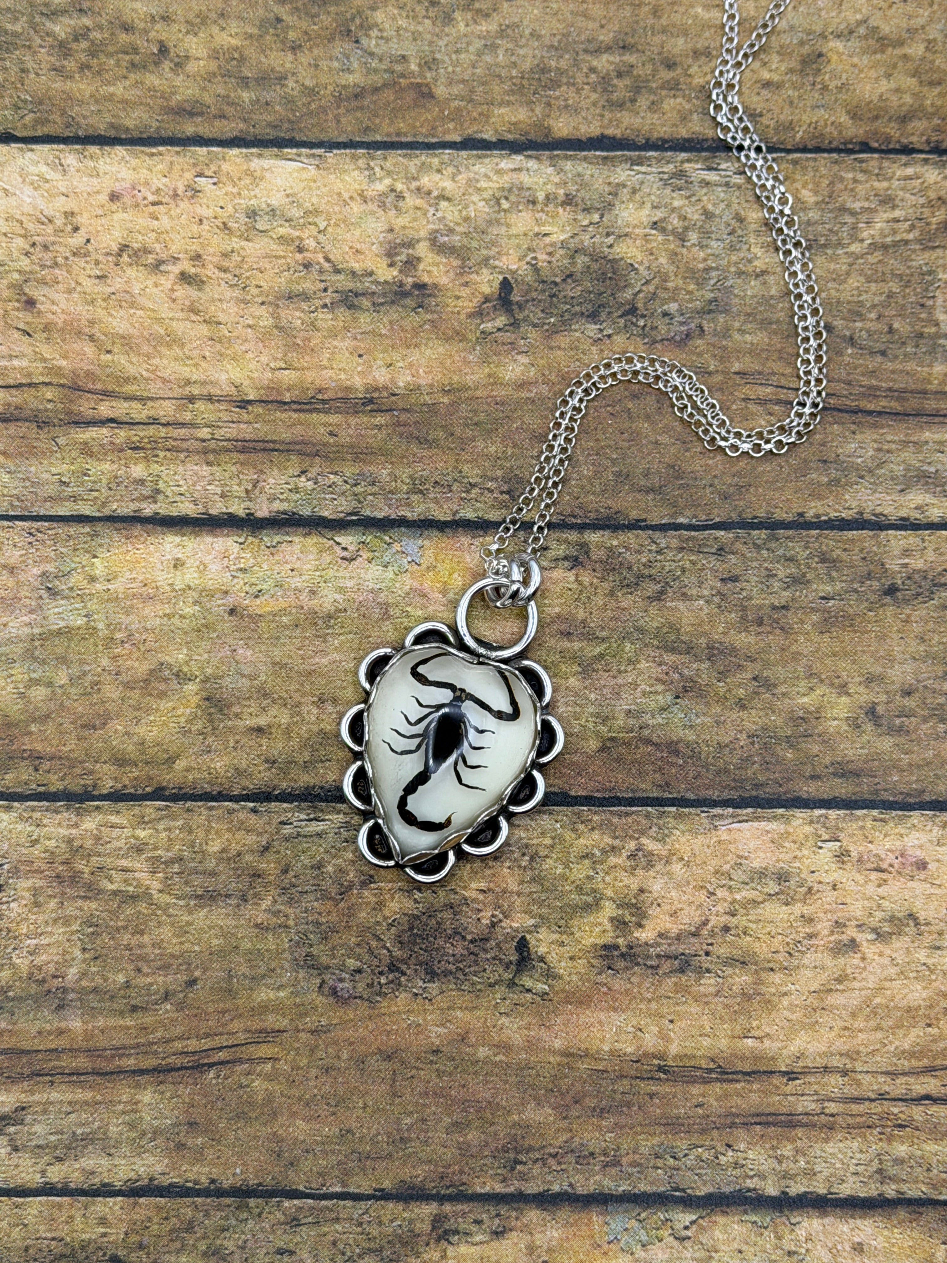 Willa-Black Scorpion in Resin Heart Pendant