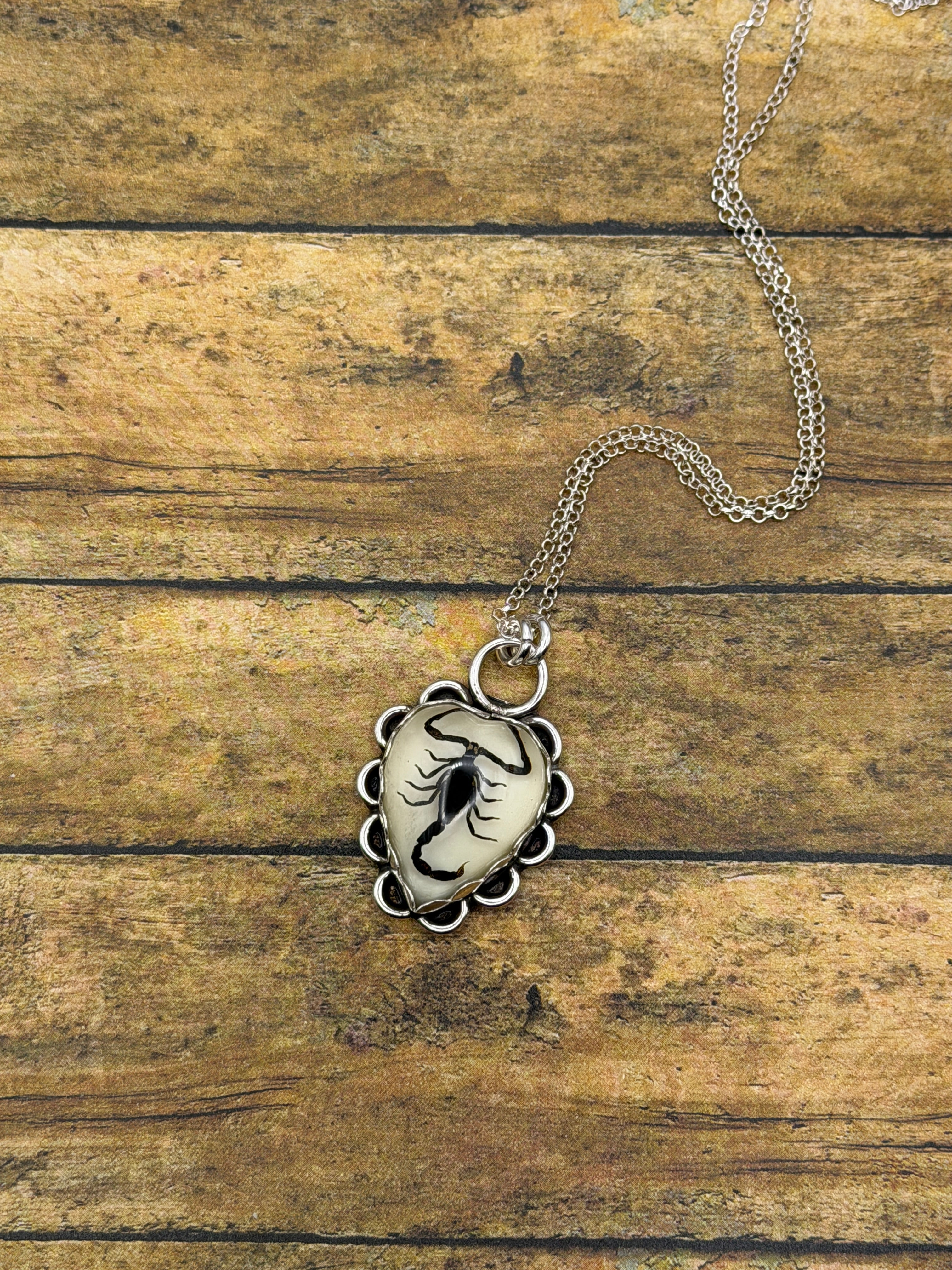 Willa-Black Scorpion in Resin Heart Pendant
