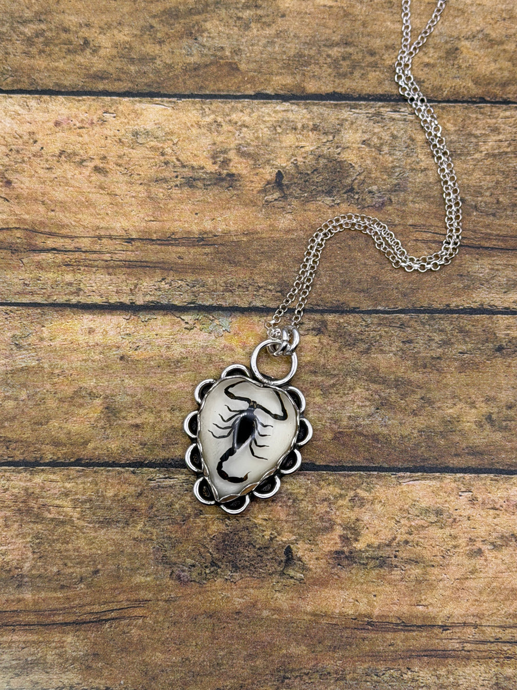 Willa-Black Scorpion in Resin Heart Pendant
