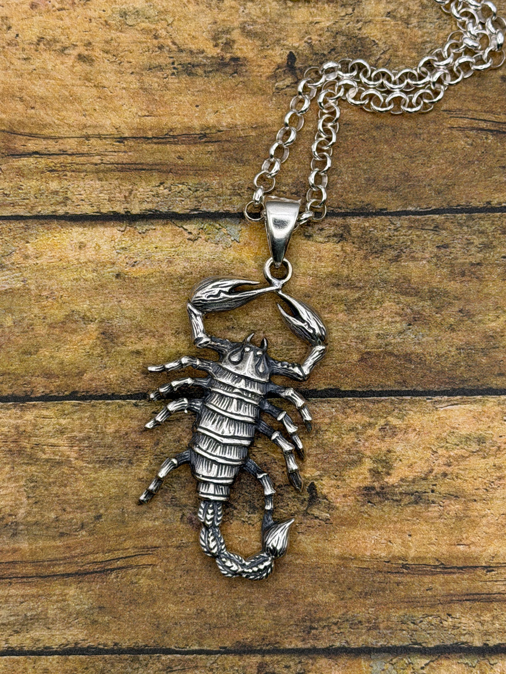 Willy-Sterling Silver Large Scorpion Pendant with Rolo Chain