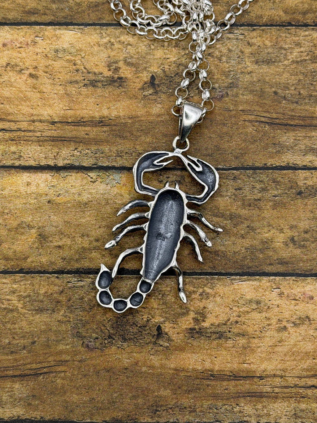 Willy-Sterling Silver Large Scorpion Pendant with Rolo Chain