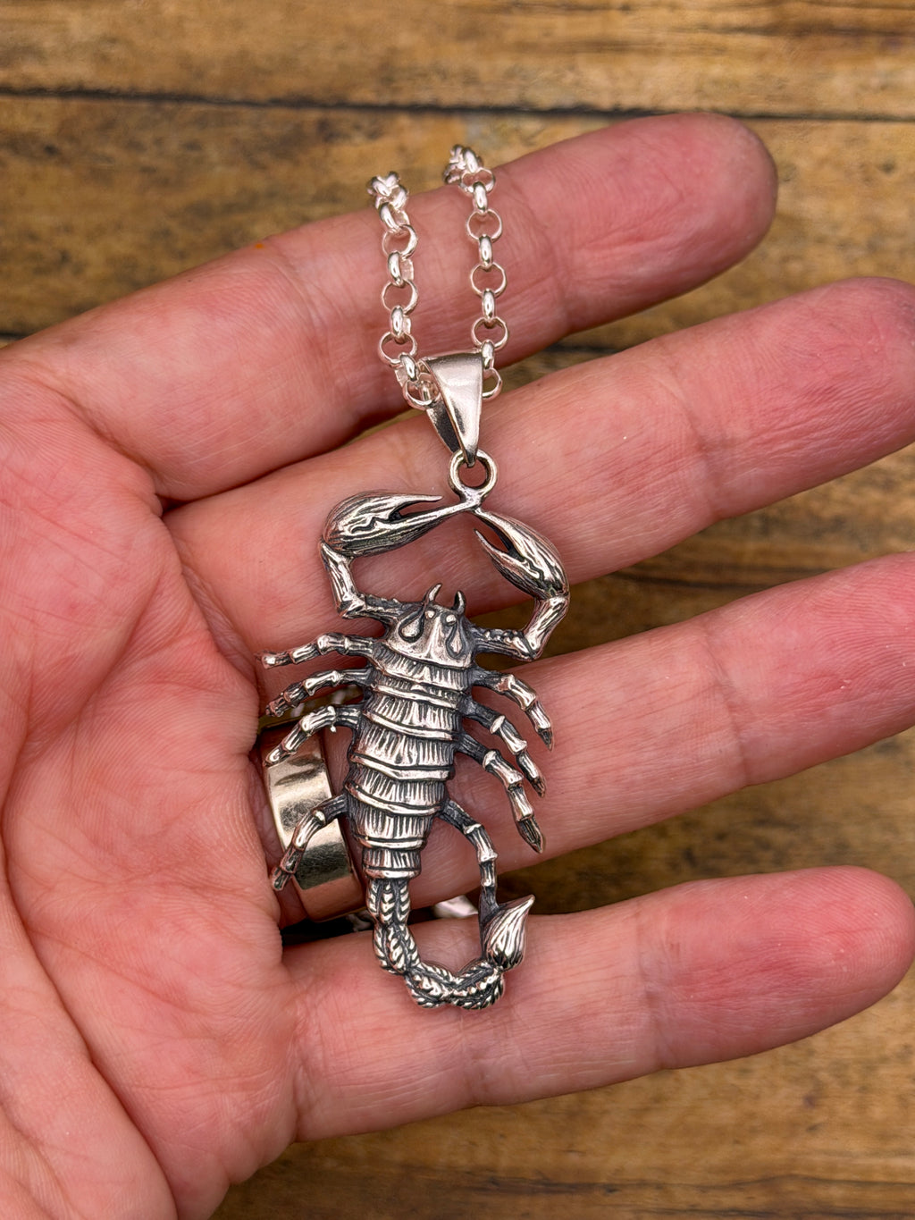 Willy-Sterling Silver Large Scorpion Pendant with Rolo Chain