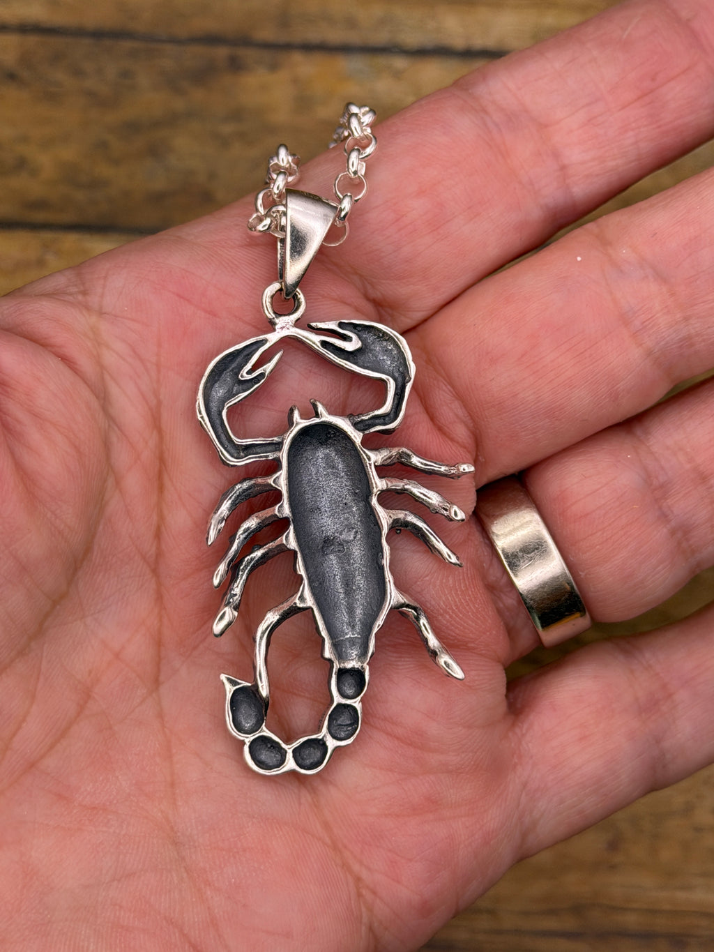 Willy-Sterling Silver Large Scorpion Pendant with Rolo Chain
