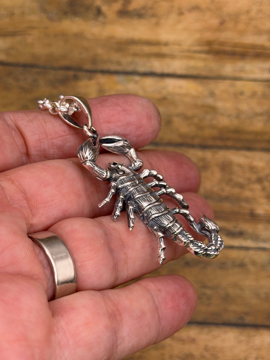 Willy-Sterling Silver Large Scorpion Pendant with Rolo Chain