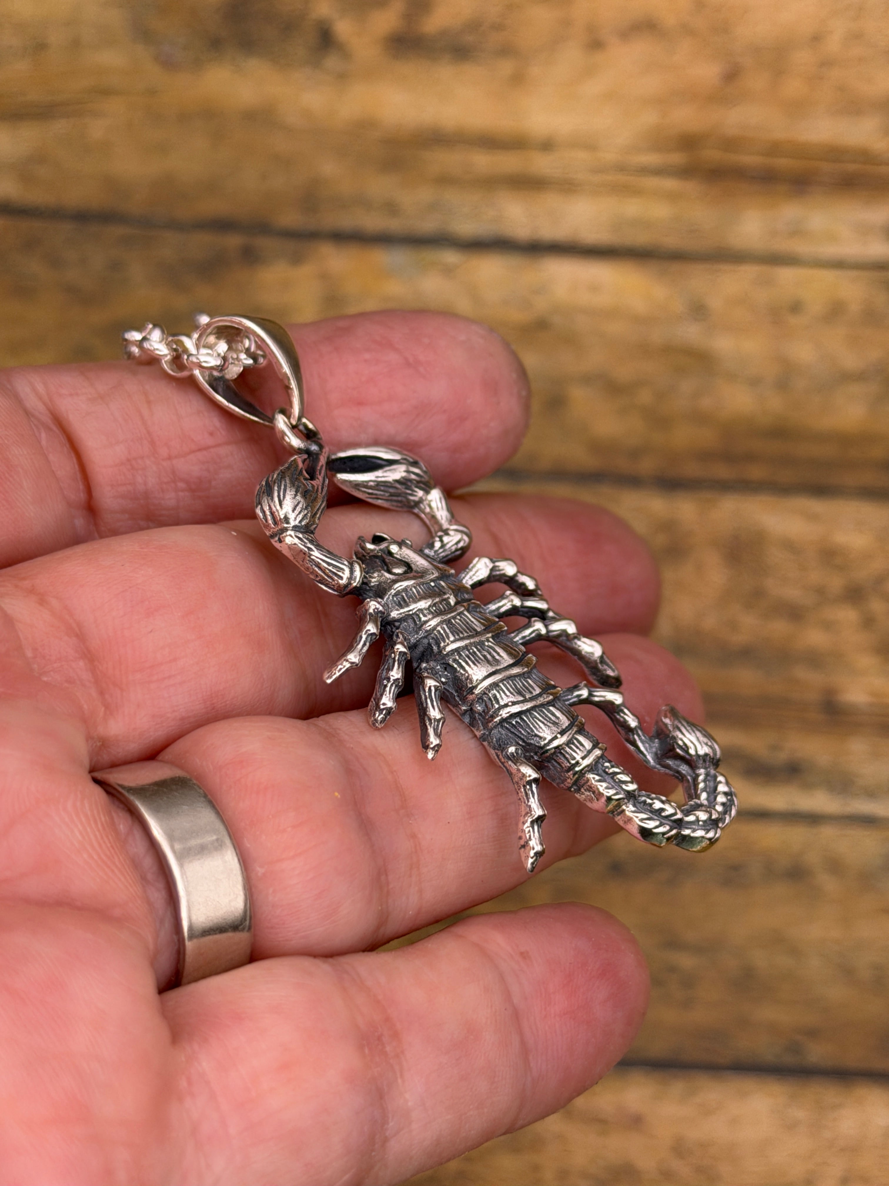 Willy-Sterling Silver Large Scorpion Pendant with Rolo Chain