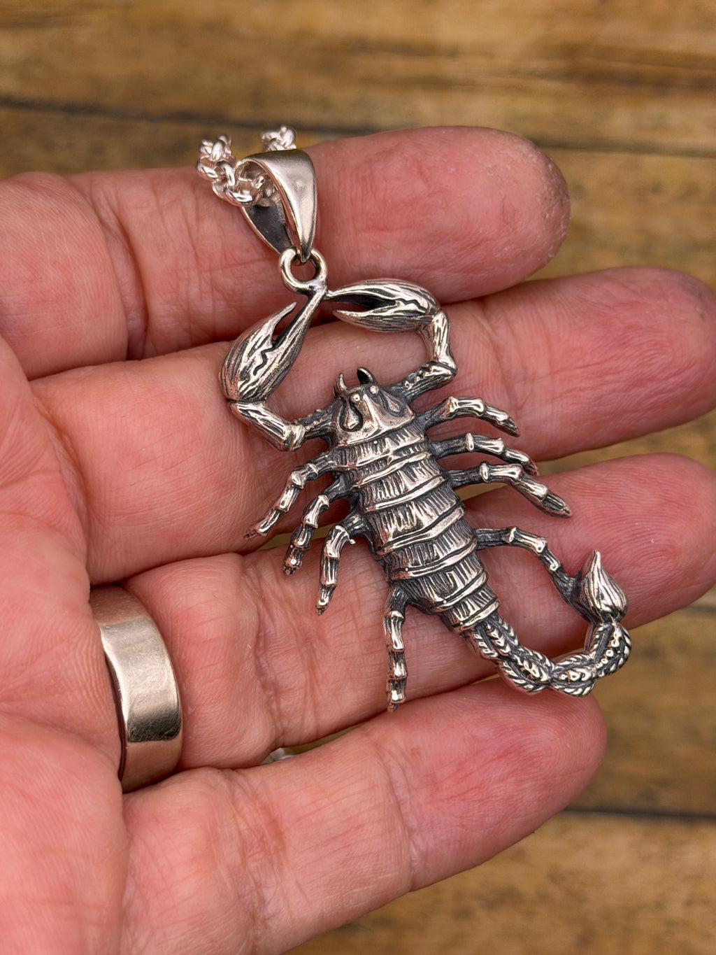 Willy-Sterling Silver Large Scorpion Pendant with Rolo Chain