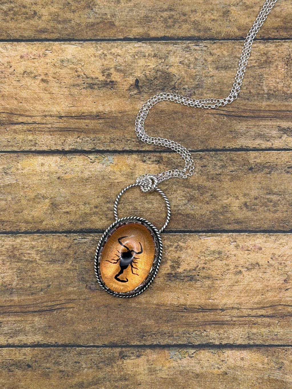 Willa-Spiderweb Detail Black Scorpion in Orange Shimmer Resin Pendant