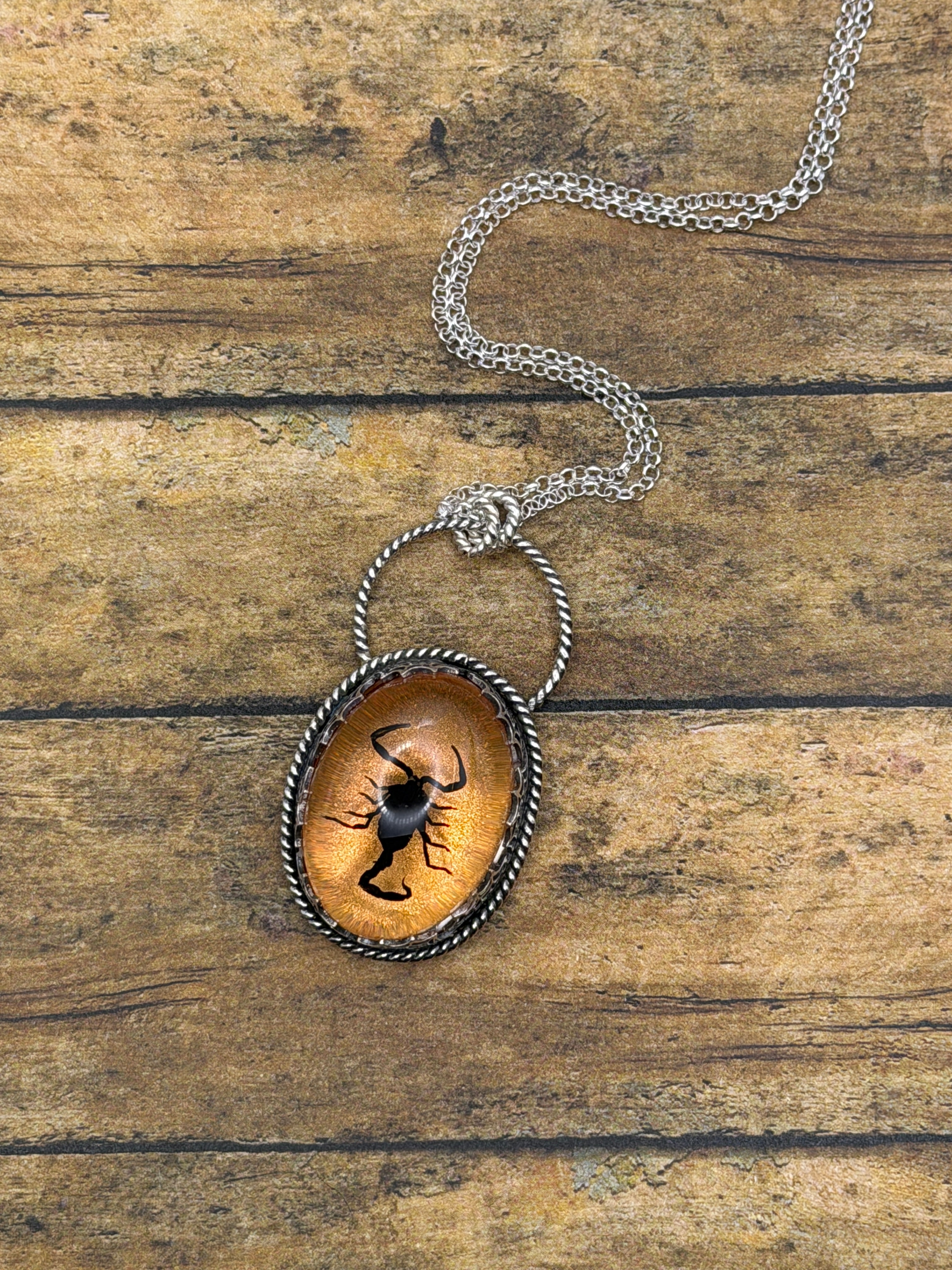 Willa-Spiderweb Detail Black Scorpion in Orange Shimmer Resin Pendant